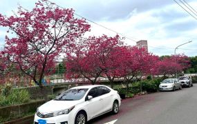 平鎮高中別墅~~近北勢國小&海口蔬果賣場