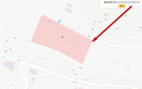 海端鄉海端村山坡農地原保地，土地完整，可簡易式蓋農場