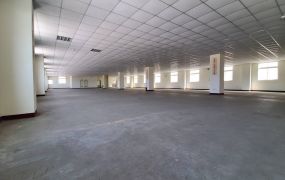 平鎮66氣派RC廠房(F04136)