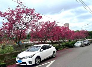 平鎮高中別墅~~近北勢國小&海口蔬果賣場