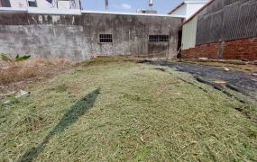 台南西港後營27建地