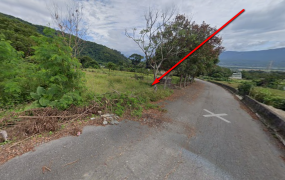 海端鄉崁頂村山坡農地原保地，土地完整，地勢平坦，、近崁頂國小