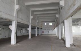 新莊/12米路/獨棟RC廠房 &bull;   新北市廠房買賣/工業地/建地/徵收農地/廠房出租