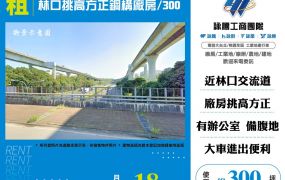 林口挑高方正鋼構廠房/300(FT08719)