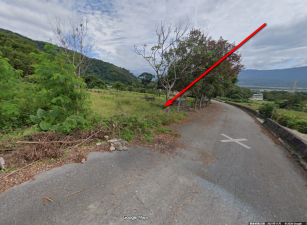 海端鄉崁頂村山坡農地原保地，土地完整，地勢平坦，、近崁頂國小