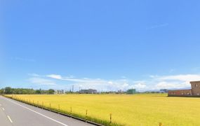 宜蘭便宜農保田