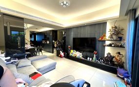 南區皇龍金鑽輕齡孝親雙車豪邸