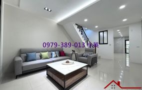 安南海佃住商合一四房車墅