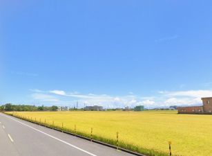 宜蘭便宜農保田