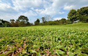關西天闊莊園水噹噹角地