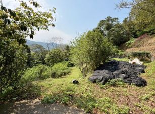 北埔還真山林面五指山景觀地B