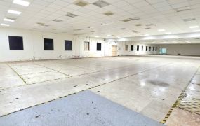 平鎮66旁腹地單層RC廠房