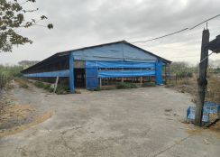 斗南建地+農地附雞舍