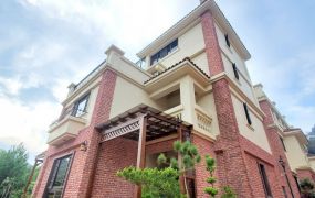 楊梅 大地坪 農舍 電梯別墅~