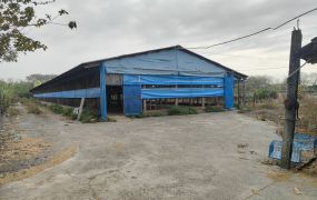 斗南建地+農地附雞舍