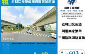 近林口長庚商圈邊間黃金店面156