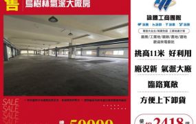 烏樹林氣派大廠房123