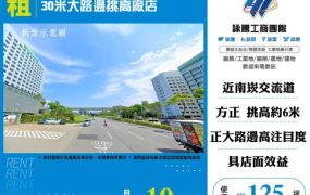 30米大路邊挑高廠店155