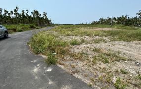 屏東南州米崙雙面路農地