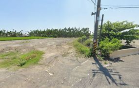 屏東南州米崙農地