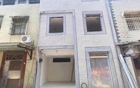 新屋高鐵南路旁透天