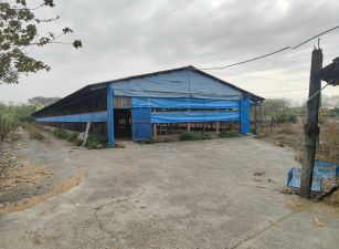 斗南建地+農地附雞舍