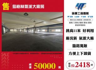 烏樹林氣派大廠房123