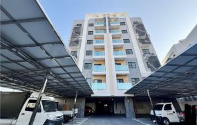 ★善化~什乃~南科明亮全新三房平車(4)