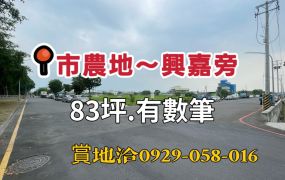 嘉市~興嘉旁都計內小筆農地