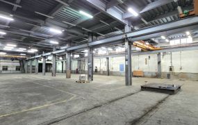 新屋挑高鋼構廠房