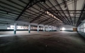 大溪大腹地分租廠房(F03565)