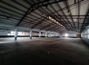 大溪大腹地分租廠房(F03565)