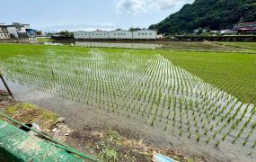 永慶許書豪★蘇澳省道旁大面寬乙種工業用地B