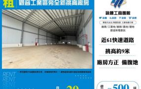 觀音工業區旁全新挑高廠房146