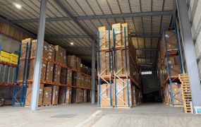 近龜山產業園區可廠登挑高廠房