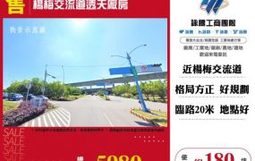 楊梅交流道透天廠房146