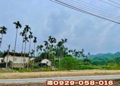 中埔綠盈休閒農場旁農地