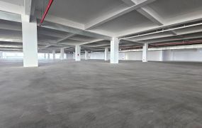 新屋66氣派RC廠房(可廠登)&bull;  桃園廠房買賣/工業地/建地/徵收農地/廠房出租