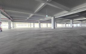 新屋66氣派RC廠房(可廠登)&bull;  桃園廠房買賣/工業地/建地/徵收農地/廠房出租