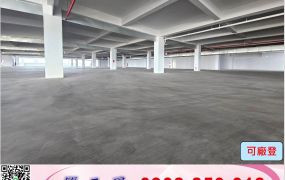 66快速全新氣派RC(可分租)廠房/工業地廠房買賣租賃