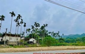 中埔綠盈休閒農場旁農地