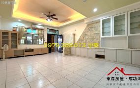 安定港子尾近南科透天