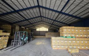 *可廠登*觀音工業區大腹地鋼構倉庫廠房(B1-1樓)