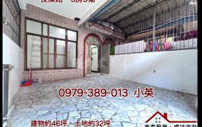 安南瀛海中學大地坪孝親透天