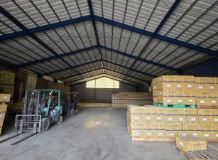 *可廠登*觀音工業區大腹地鋼構倉庫廠房(B1-1樓)