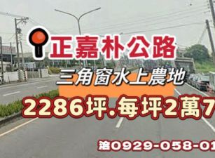 正嘉朴公路水上農地