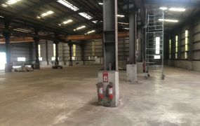 林口交流道旁挑高廠房