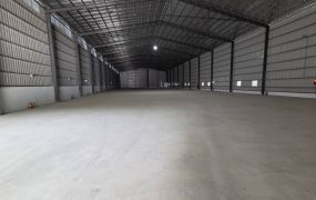 琪琪🐝推~近64五股新穎貨櫃廠