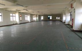 大園工業區RC廠房分租(F04118)