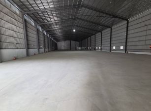 琪琪🐝推~近64五股新穎貨櫃廠